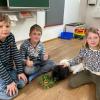IMG-20250411-WA0006-Copy