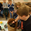 DSC00208 (Kopie)