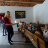 DSC00223 (Kopie)