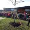 DSC03751-Kopie