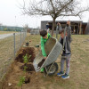 DSC00564-Kopie