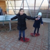 DSC02377 (Kopie)