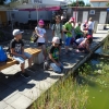 DSC07229 - Kopie