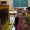 DSC02975 (Kopie)