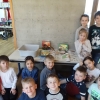 DSC00698 (Kopie)