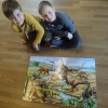 DSC02662 (Kopie)