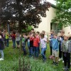 DSC02910-Kopie