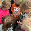 IMG-20240503-WA0033-Copy
