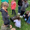 IMG-20240503-WA0036-Copy