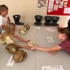 IMG-20260702-WA0025-Copy