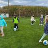 IMG-20251002-WA0011-Copy