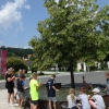 DSC01067 (Kopie)