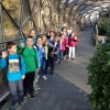 IMG_9200 (Kopie)