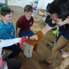 DSC00601 (Kopie)