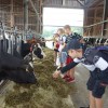DSC01513-Kopie