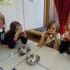 DSC05322-Copy