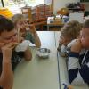DSC05323-Copy