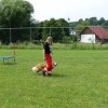 DSC03149-Kopie
