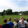 DSC03153-Kopie