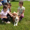 DSC03161-Kopie