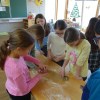 DSC02055-Kopie