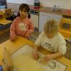DSC03906-Copy