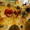 DSC02053-Kopie