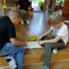 DSC03553-Kopie