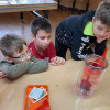 IMG_0044-Kopie
