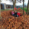 IMG_20241105_153323-Kopie