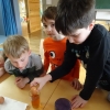 DSC00728 (Kopie)