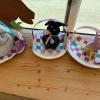 IMG-20250403-WA0005-Copy