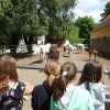 DSC03092-Kopie