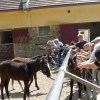 DSC03094-Kopie