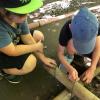 IMG-20240620-WA0027-Copy
