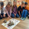 IMG-20251007-WA0001-Copy