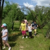 DSC03374 (Kopie)
