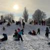 IMG-20260108-WA0002-Copy