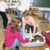 DSC01792-Kopie