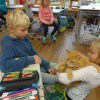 DSC01793-Kopie