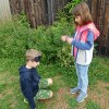 DSC05102-Kopie
