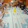 DSC05238-Copy