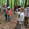 DSC01003 (Kopie)