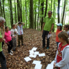 DSC01025 (Kopie)