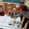 DSC04287-Kopie