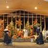 DSC02111-Kopie
