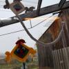 IMG-20251114-WA0017-Copy