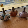 IMG_2313-Copy