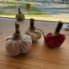 IMG_2314-Copy