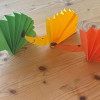 IMG_2317-Copy